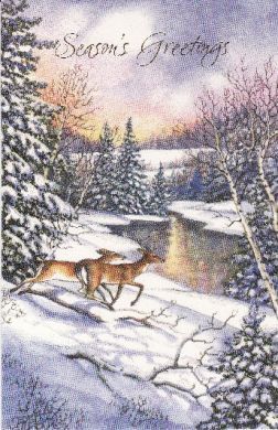 James Koedatich 2009 Christmas Card